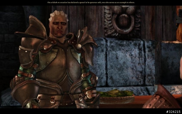 [DAO=Dragon age :origin]Nightmare 女精靈盜賊 通關心得 含劇透 愼入