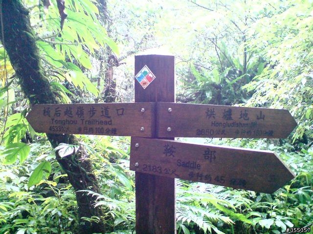 單騎桶後越嶺全記錄
