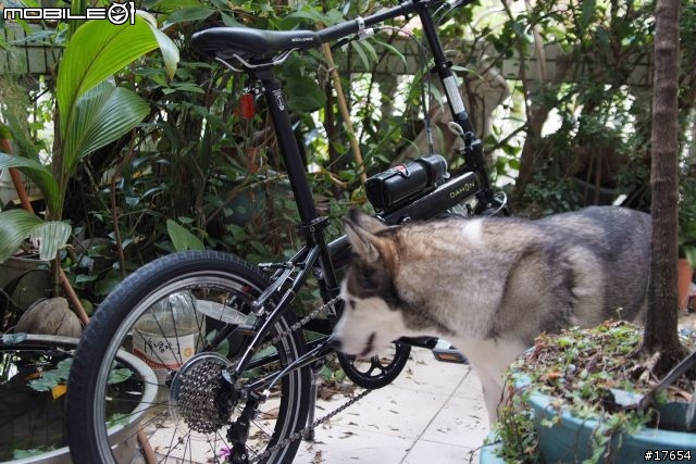 【老梗開箱】我的第一部小摺～小黑  Dahon Speed P8