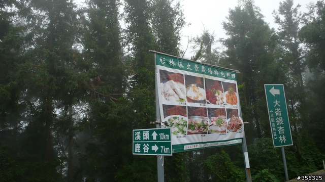 [H1N1防疫特別假期] 溪頭-杉林溪+杉林溪森林遊樂區單車2日遊  (照片很多,263張...請見諒...)