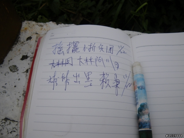 [分享]胖子川36彎處女航+勇士狀!