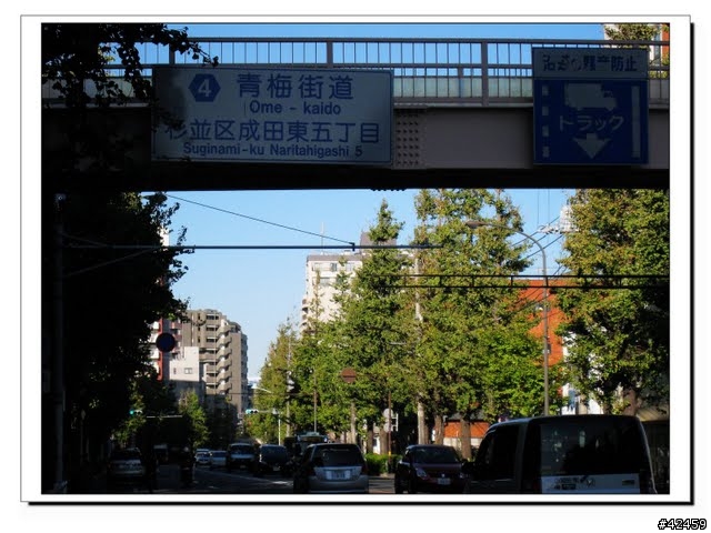 [NEW MAJESTY] 奧多摩周遊道路賞楓