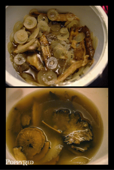 『分享』吃補的那些日子之博士月子餐