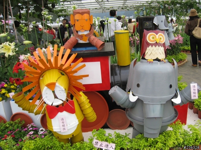 [新社花海]11月20日花況