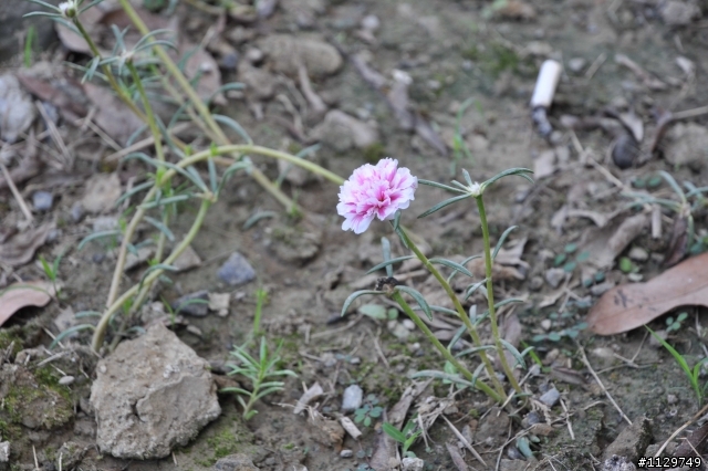 [分享]竹崎公園親子輕鬆騎照片!