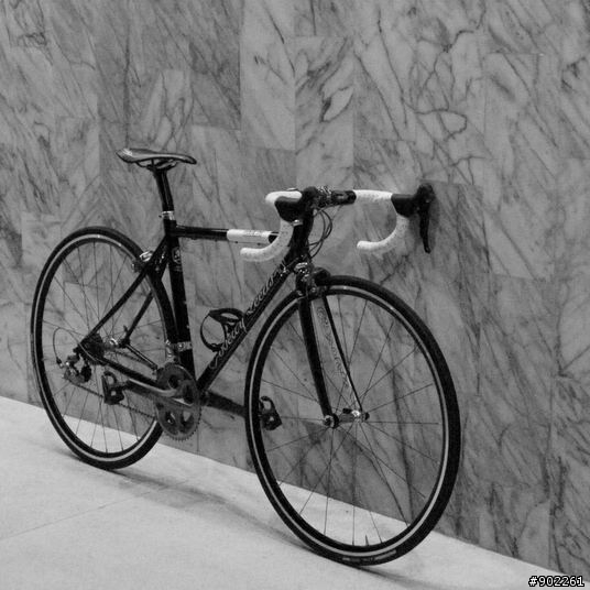 優雅的力量 - Fixie Inc. Betty Leeds