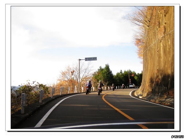 [NEW MAJESTY] 奧多摩周遊道路賞楓