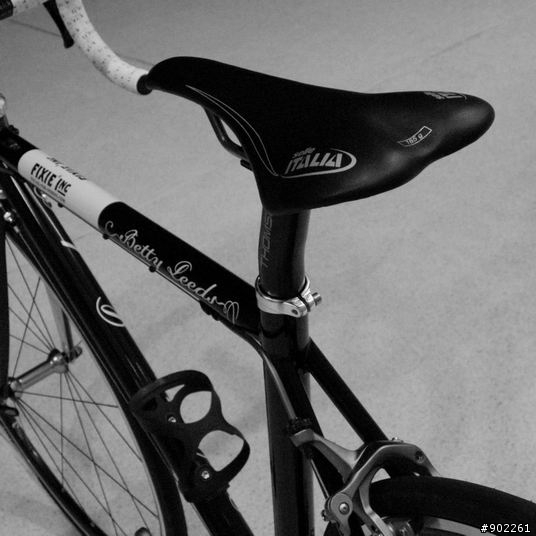 優雅的力量 - Fixie Inc. Betty Leeds