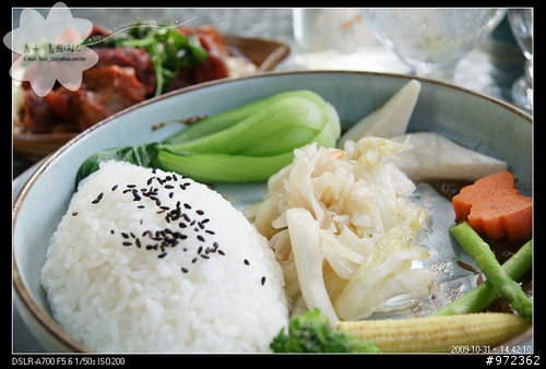 苗栗造橋--不可錯過的風味餐廳「石中臼香草庭園」 (美食篇)