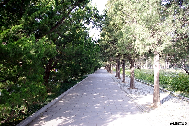 台灣客在北京之天壇公園行