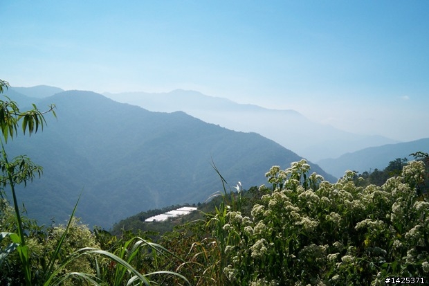 秋末雙載爬山從東海到清境農場一日遊