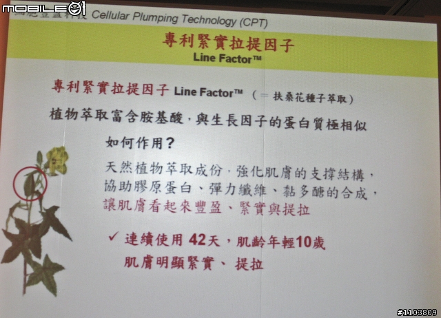 【採訪】使用42天就能年輕10歲?!伊麗莎白雅頓「8胜肽緊容霜／乳」