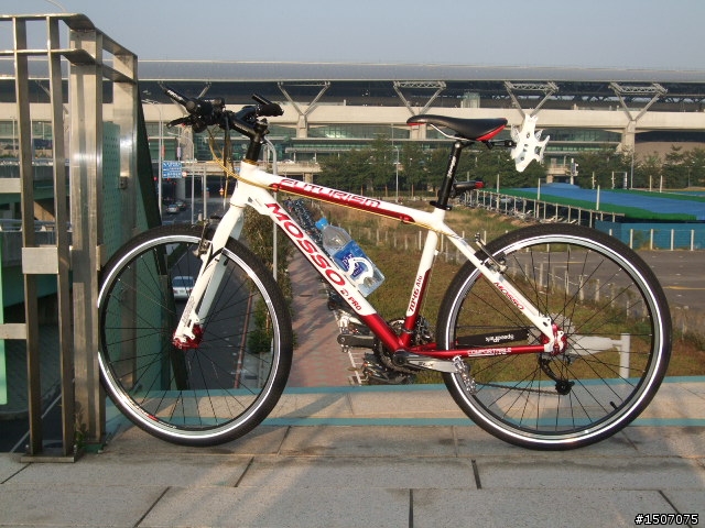 1103 魔獸單車 New Arrival !