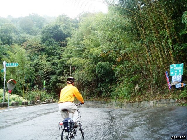 [遊記] 司馬庫斯全攻略 - 新光、鎮西堡、司馬庫斯之路16K去回、司馬庫斯神木群步道