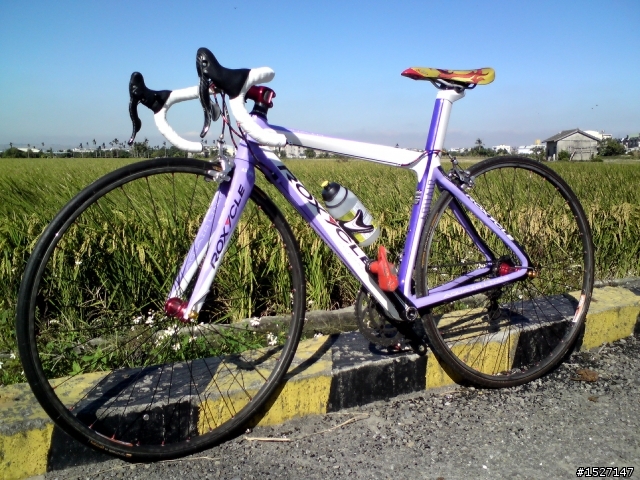 新手上路~Roxycle- Road Lavendar薰衣草跑車