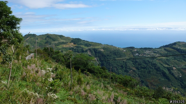 [遊記] 攻上太麻里山一等三角點, 期待曙光再起!!