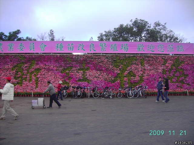 新社花海之旅