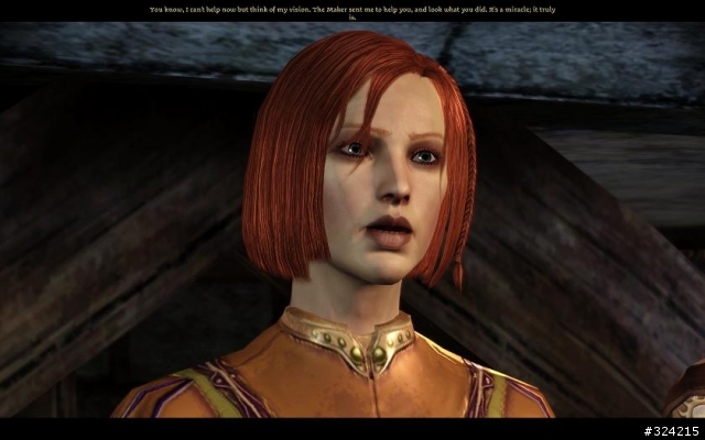 [DAO=Dragon age :origin]Nightmare 女精靈盜賊 通關心得 含劇透 愼入