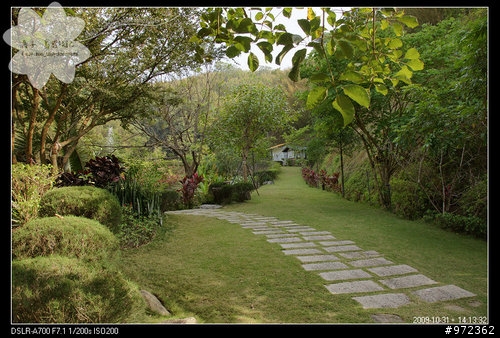 狗寶貝[柯基.臘腸] 苗栗造橋--石中臼香草庭園 (散步隨拍)