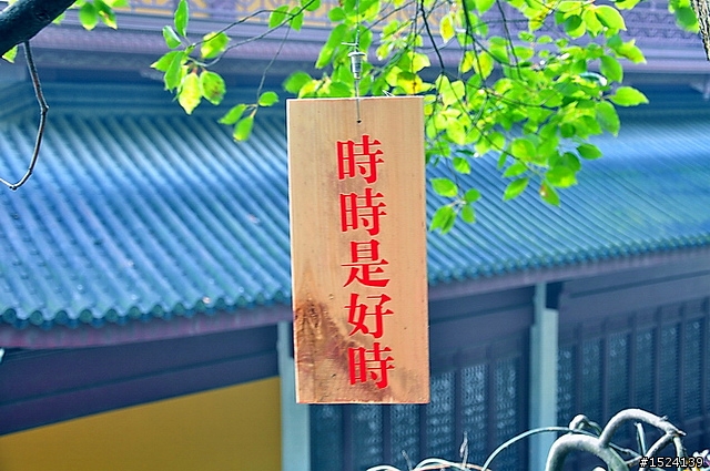 <nikon>D90KIT+70-300VR行行攝攝——來自內地網友的分享