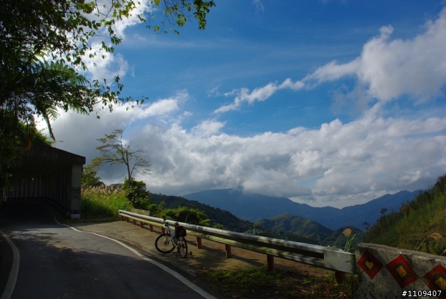 羅山林道 - 楓葉轉紅