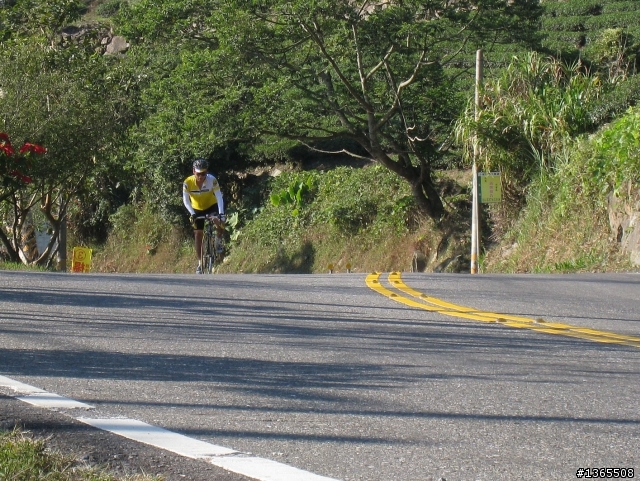 阿里山路況最新報導
