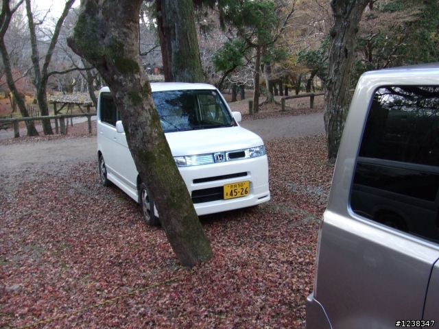 在日本看到的車