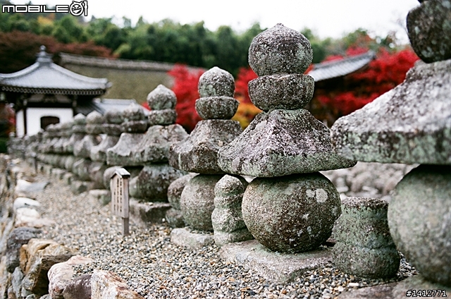 關西走斷腿之旅 (圖多)