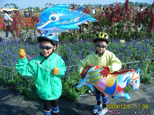 看新社花海不會塞車的路線,中正公園南坑巷-崑山-新社花海