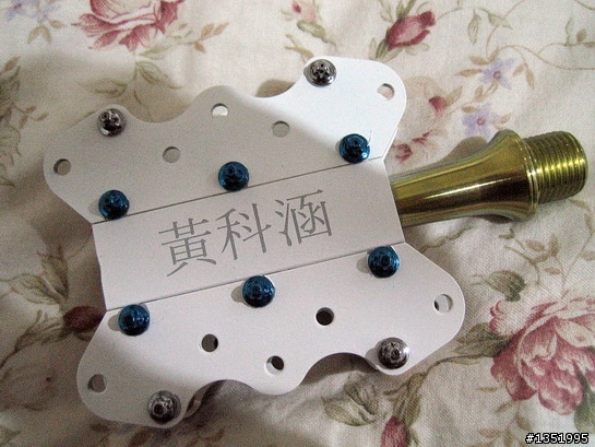 吾兒的腳踏