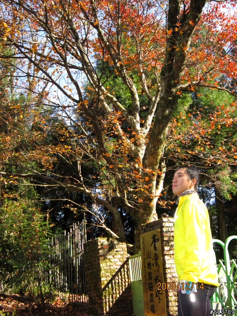 [分享]楓情萬種~清境---武嶺~2009-12-14