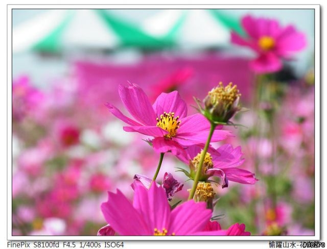 [分享]在寒冷的冬天中能做的三、兩事...