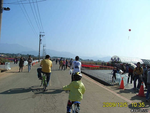 看新社花海不會塞車的路線,中正公園南坑巷-崑山-新社花海