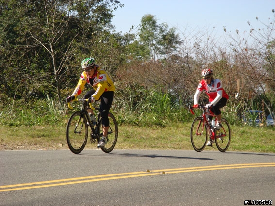 阿里山路況最新報導