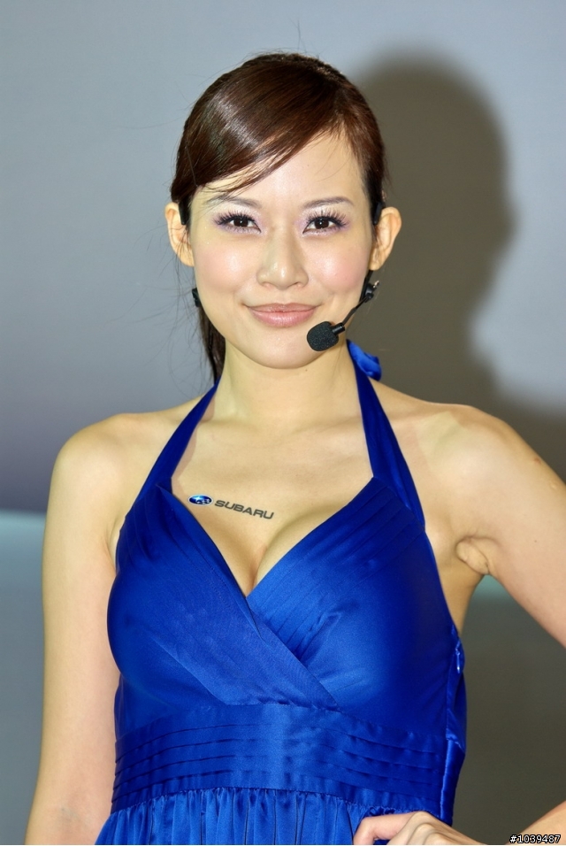 P家蓋2010車展大樓