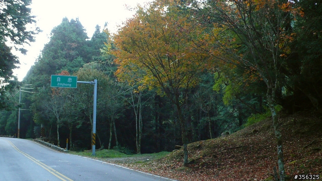 [遊記] 楓紅了part 3....2009阿里山-新中橫單車賞楓紀行