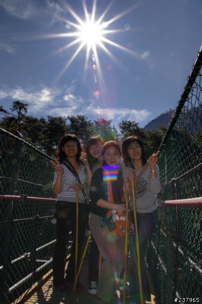 (員工旅遊)新社古堡+清境+奧萬大天梯