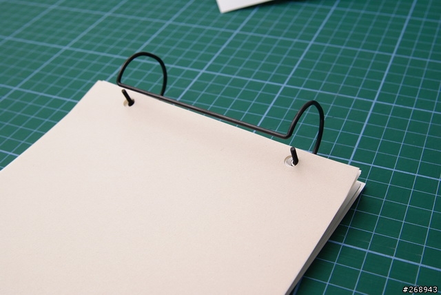 [091229] EPSON DIY 2010桌曆組