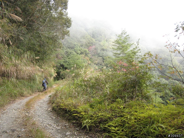 騎車、爬山兩相宜之郡大林道 (新增下坡影片)