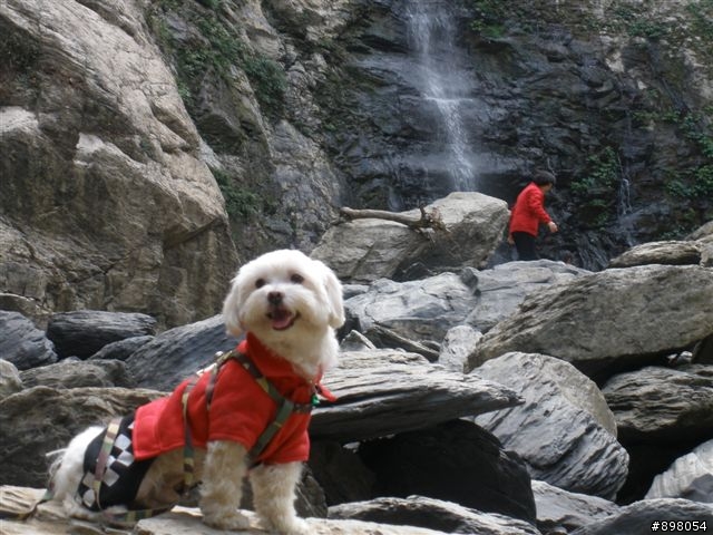 【旅遊】分享涼山瀑布&瑪家鄉風味餐