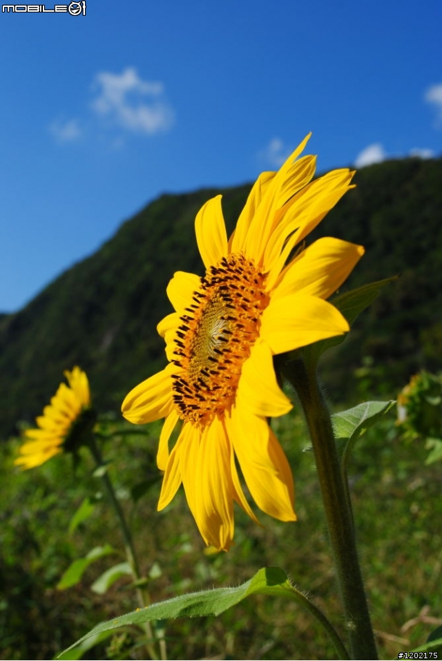 D3000小折車環島精選相片