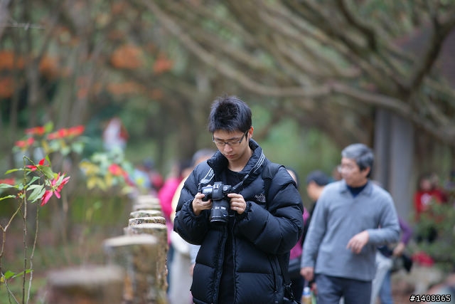 SONY a850 初體驗 ! 石門水庫楓紅