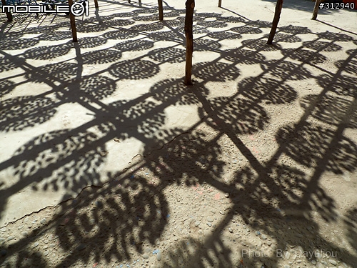 帶著大砲曬太陽