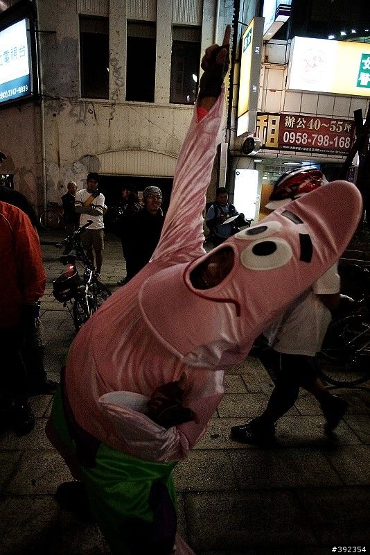 1212遲交的野貓賽照片