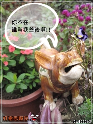 [偽廣告文]驚驚賣古董時間-被拋棄的阿告 (請大家幫忙鑑定一下)