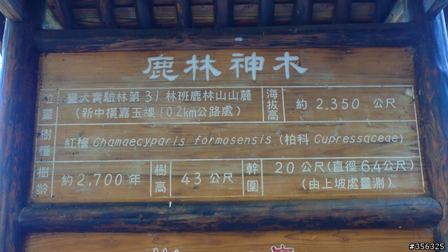 [遊記] 楓紅了part 3....2009阿里山-新中橫單車賞楓紀行