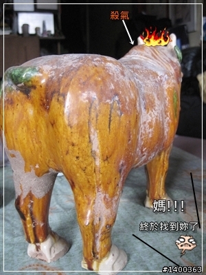 [偽廣告文]驚驚賣古董時間-被拋棄的阿告 (請大家幫忙鑑定一下)