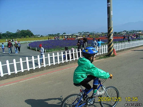 看新社花海不會塞車的路線,中正公園南坑巷-崑山-新社花海