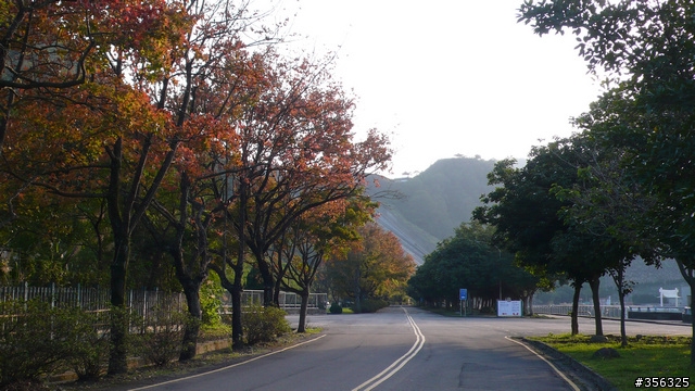[遊記] 楓紅了....石門水庫單車賞楓探路行