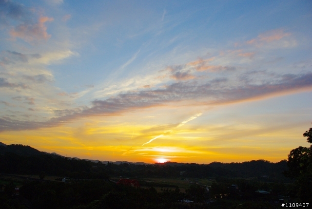 羅山林道 - 楓葉轉紅
